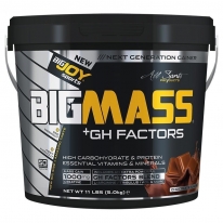 BigJoy Sports Big Joy Big Mass +GH Factors 5000 Gr