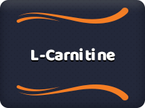 L-Carnitine